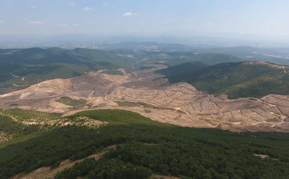 ‘Kaz Dağları’nda 347 bin ağaç kesildi’