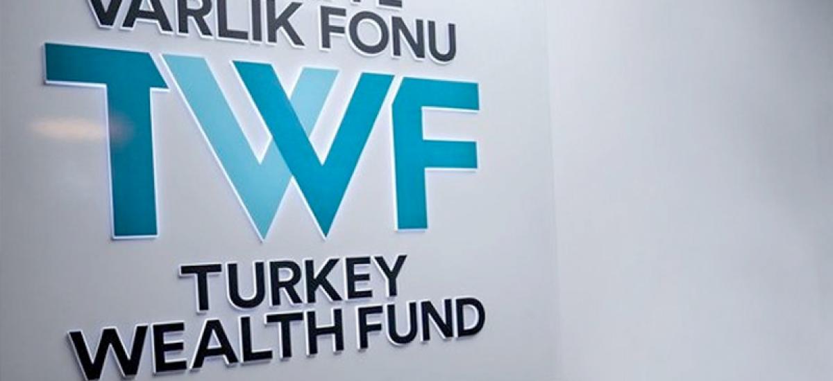 wealth fund