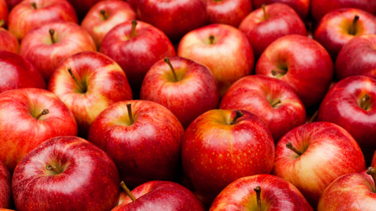 Rusya’da Türk elmaları reddediliyor