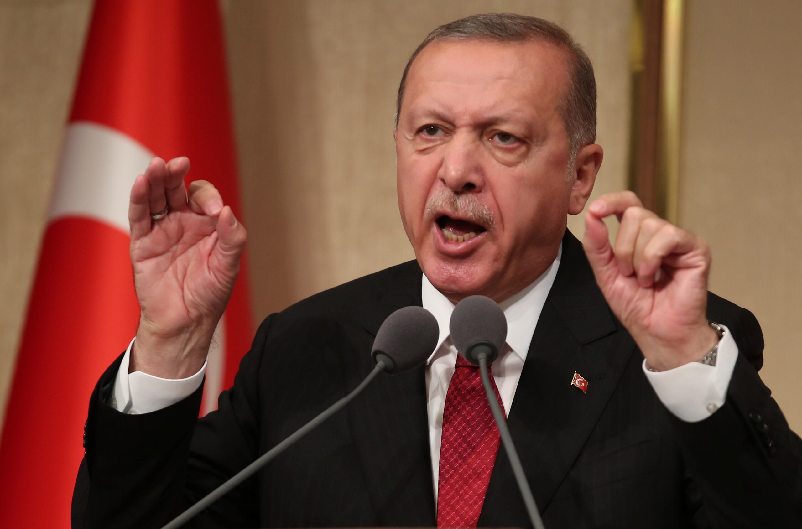 Türkiye’deki El Kaide lideri Erdoğan’ın koruması altında