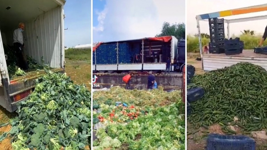 Türk çiftçileri çöplere tonlarca tarımsal ürün atıyor