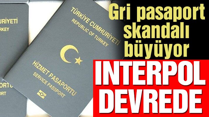 Türkiye’nin gri pasaport skandalının bedeli
