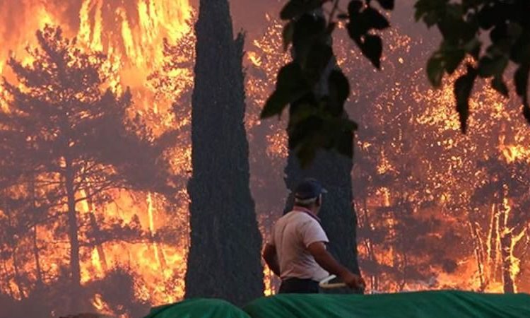 Muğla ormanlarında 5 yangın devam ediyor