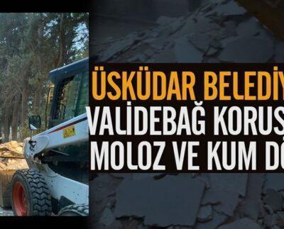 Validebağ