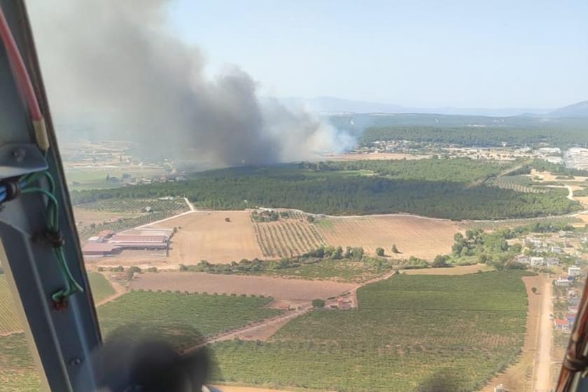 İzmir Gaziemir’de ormanlık alanda yangın çıktı!