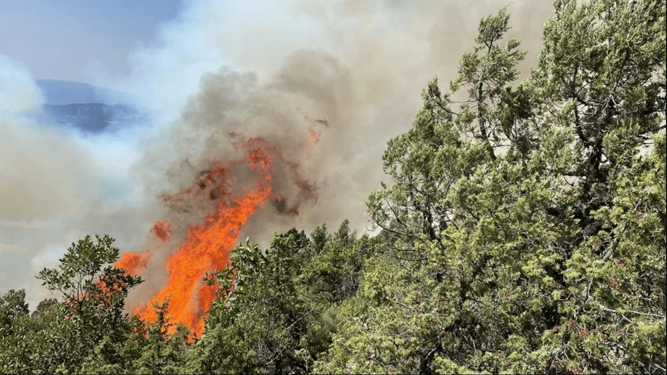 Bolu’da orman yangını 2’nci gününde