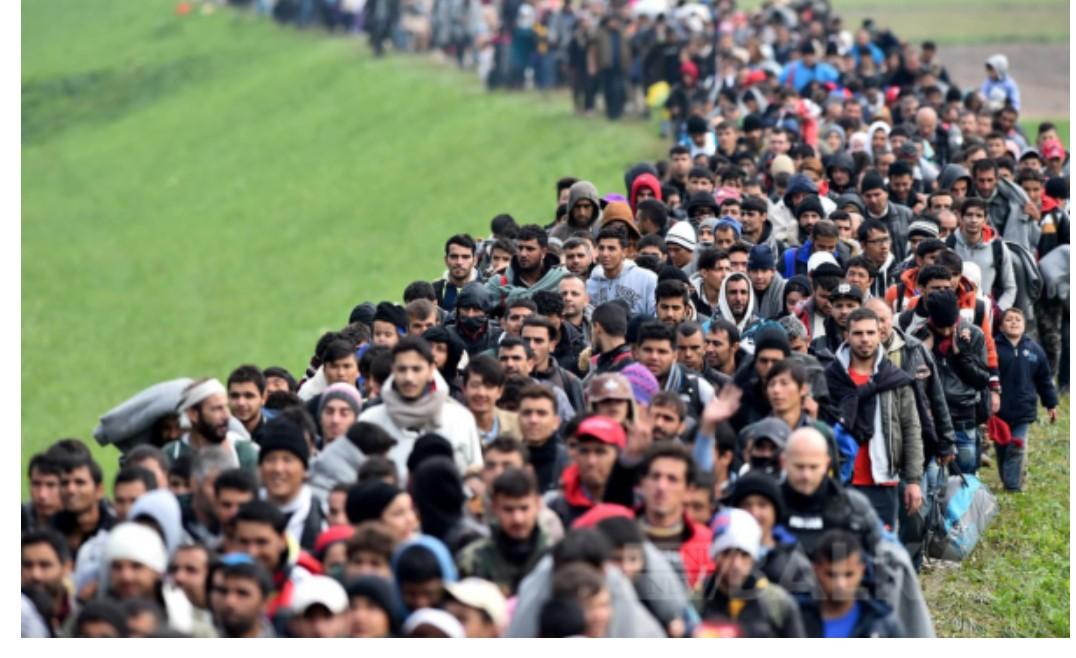 Ülkemizde 4 milyon 843 bin 594 göçmen bulunuyor