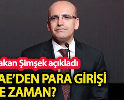 Mehmet Şimşek