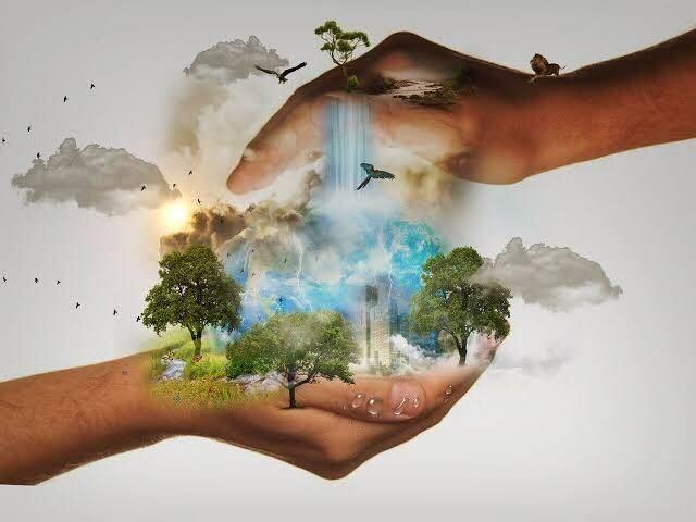 Çevre ve Sağlık: Gezegenimizi Koruma Sanatı