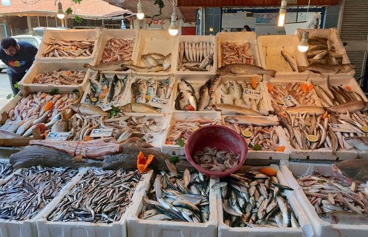 Balık fiyatları yüzde 80 düştü