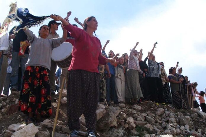 kadınlar kaz dağları'nı savundu!