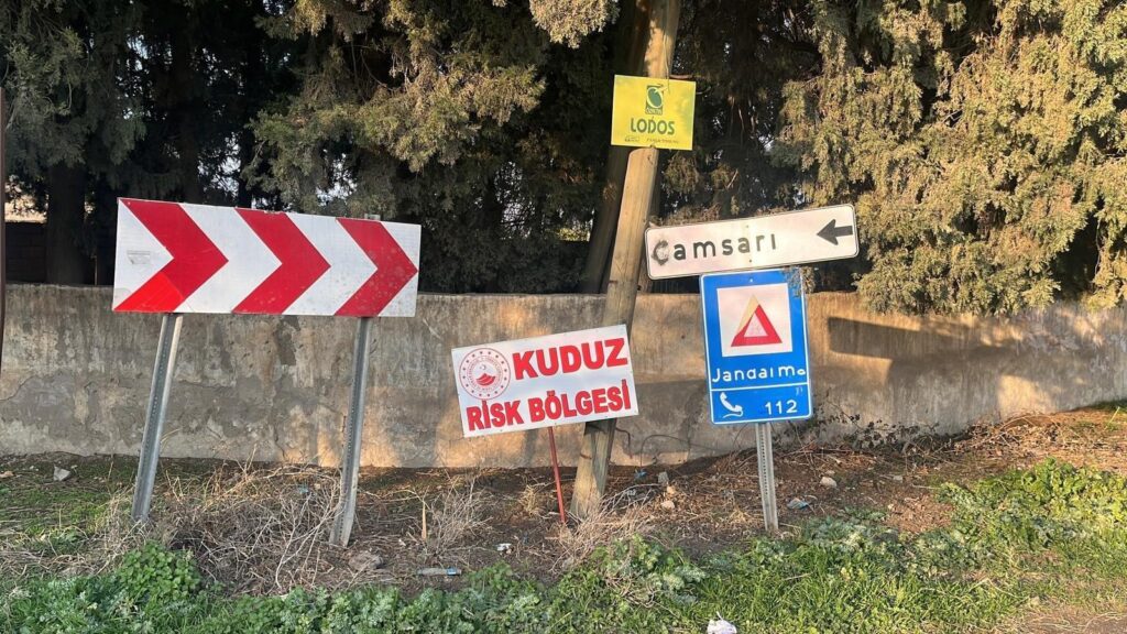 kuduz