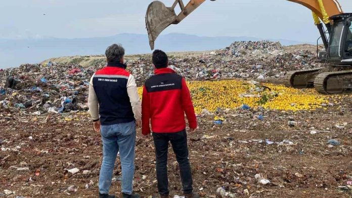 Dubai'ye ihraç edilmek üzere hazırlanan 71 ton limon telef oldu