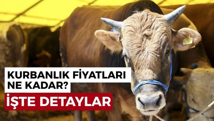 Kurban Bayramı Fiyatları