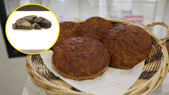 Türkiye'de 5.000 Yıllık Küllüoba Ekmek Gün Yüzüne Çıktı