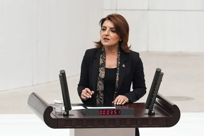 CHP Mersin Milletvekili Gülcan Kış