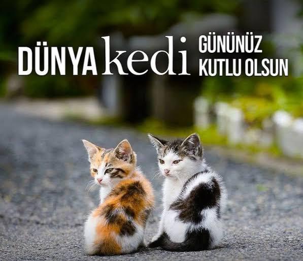 2025 Dünya Kedi Günü Tarihi…