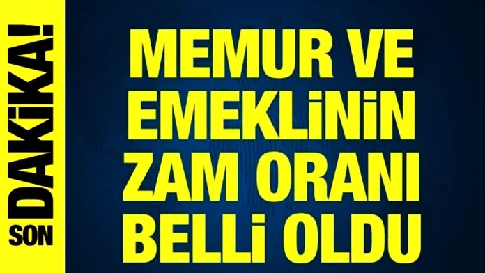 Emekli ve Memur Maaşları