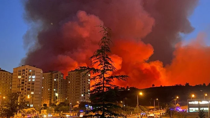 Bursa da Yangın Alarmı: Yangın 110 Hektarı Sardı, Binlerce Kişi ve Hayvan Güvenli Bölgelere Alındı