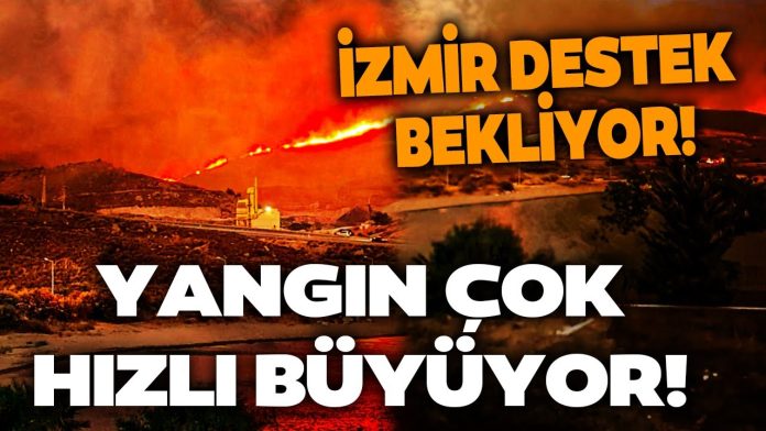 İzmir de Yangın Kabusu: Doğa ve Canlılar Büyük Tehlikede