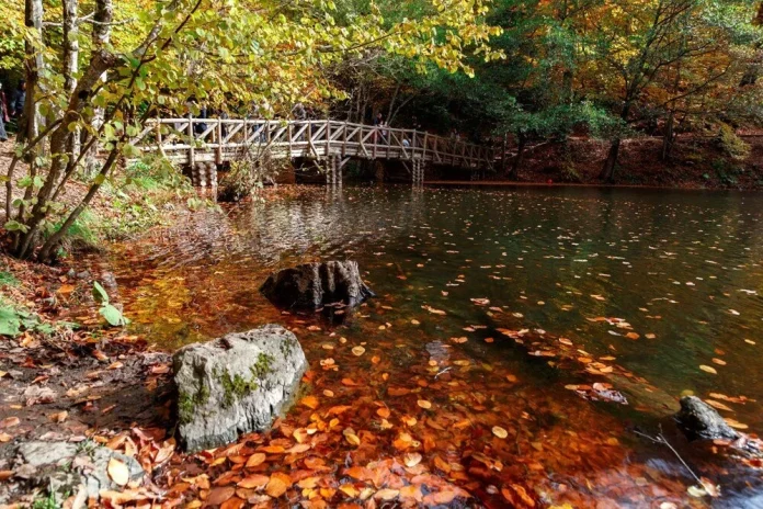 Türkiyede Sonbaharda Gidilecek En İyi 5 Yer