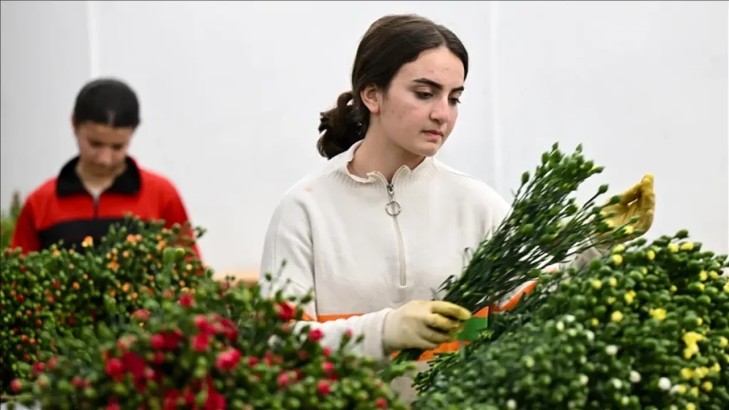 1743075687 1200x675 q7honupk8r