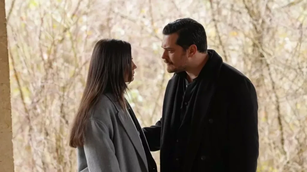 223165 f 69a86a9c4d897