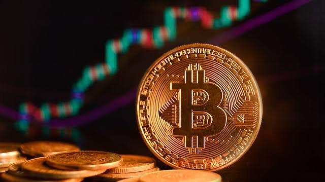 WhatsApp Image 2026 03 05 at 10.03.30 PM