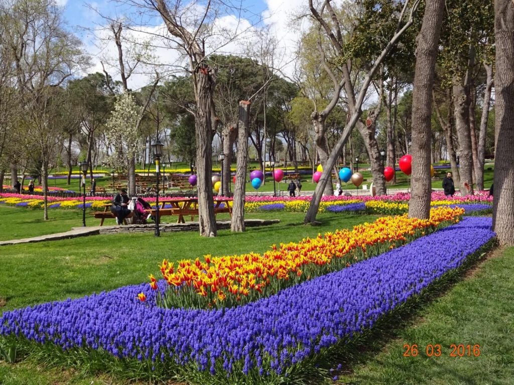 6e09cbc88946a8869b795e9e5d0633ad