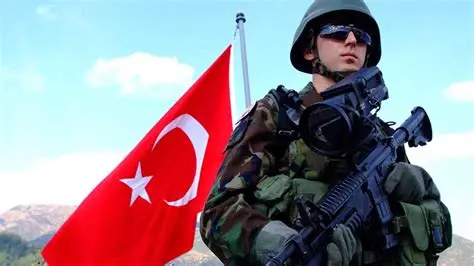 Türkiye'de 'askeri vesayet'