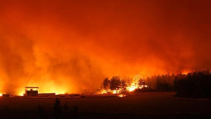 Türkiye'deki orman yangınları