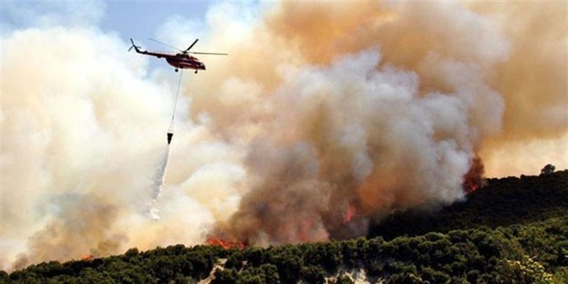 WhatsApp Image 2026 04 07 at 4.21.03 PM