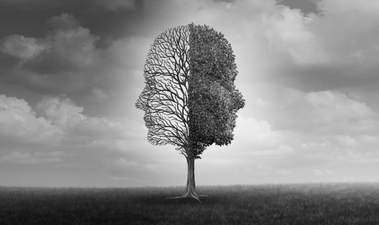 WhatsApp Image 2026 04 07 at