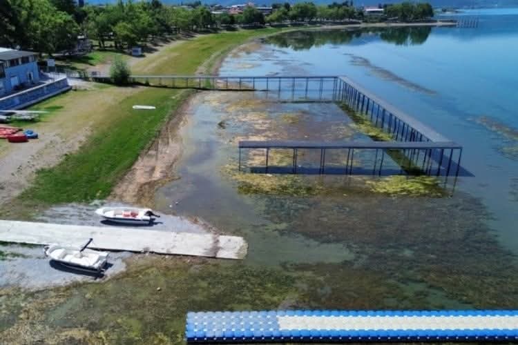 WhatsApp Image 20265.32 PM