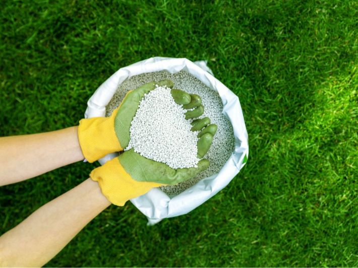 أضرار الأسمدة الكيميائية على صحة الانسان