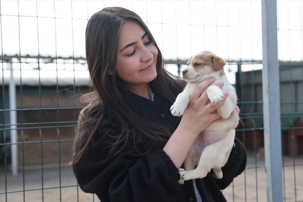 Nevşehir'de 150 Köpek Sahiplendirildi