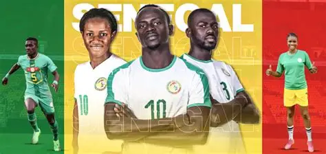 Fenerbahçe, Senegal yeteneği Amara'yı transfer etti