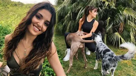 Ünlülerin ve sanat yıldızlarının Instagram aboneliklerinden elde ettikleri kazançlar