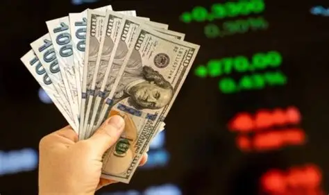 Dolar/TL'de yeni tarihi zirve: Rekor seviyelerde yükseliş durmuyor